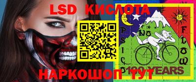 крисы Коммунар